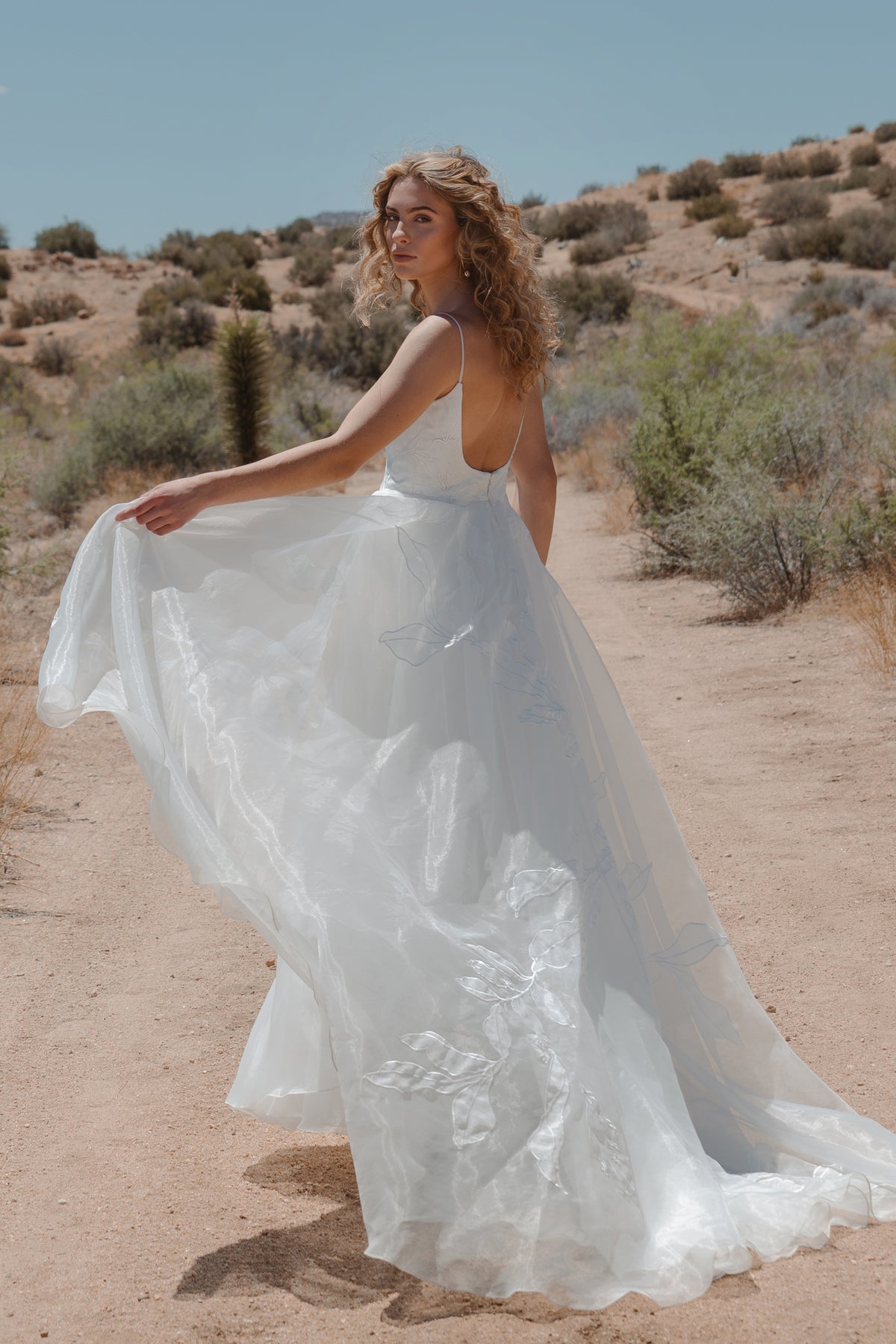 Jenny_by_Jenny_Yoo_Wedding_Dress_Abernathy 3762